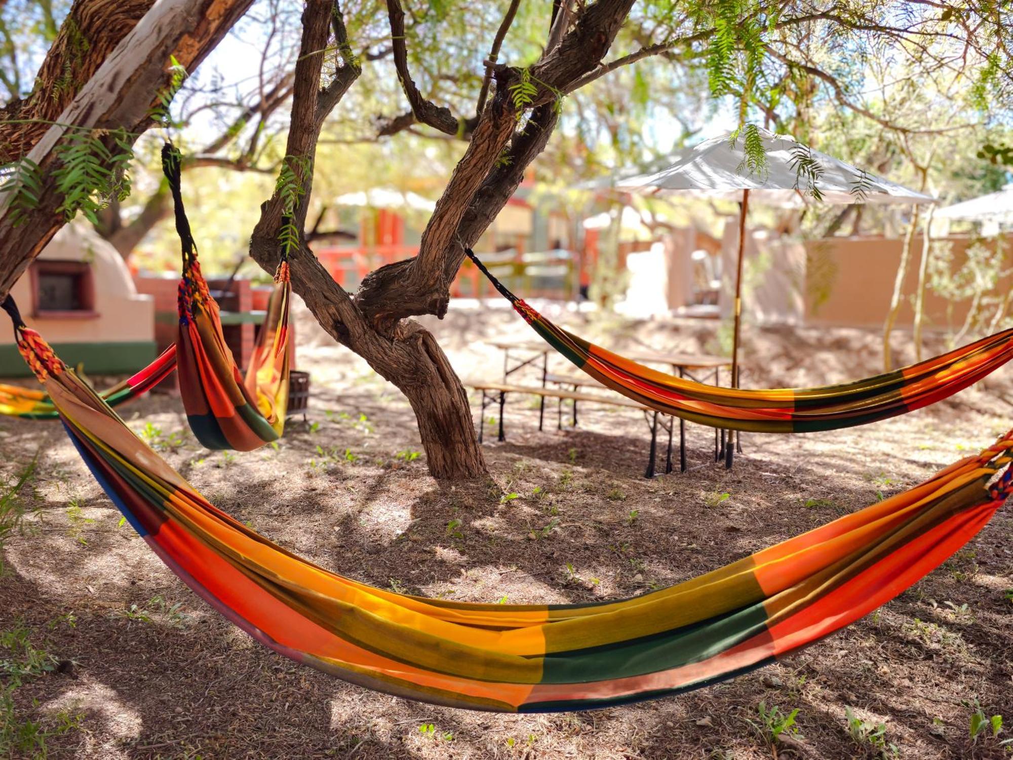 Lodge Ancar Atacama San Pedro de Atacama Eksteriør billede
